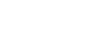 stori-logo-white